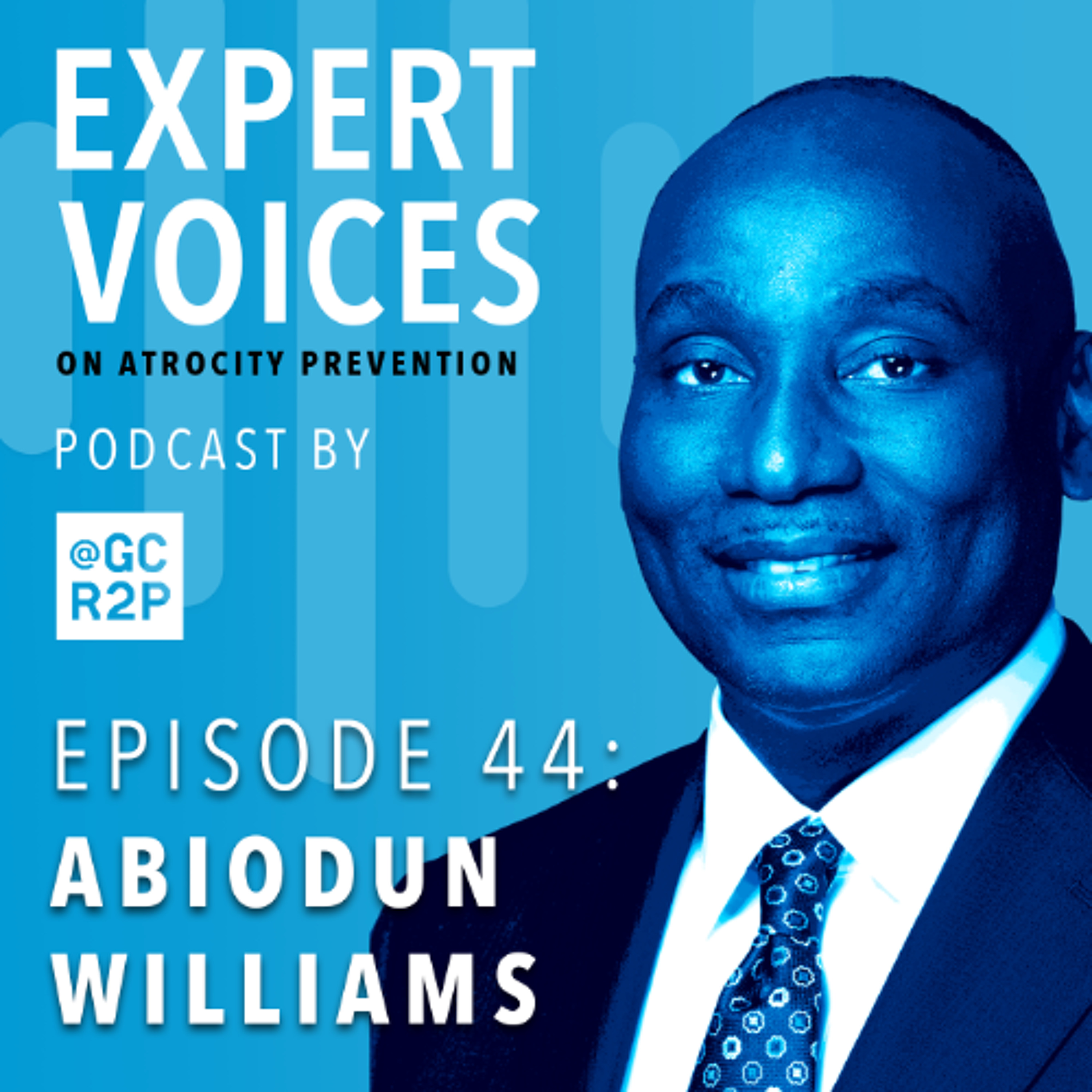 Expert Voices on Atrocity Prevention