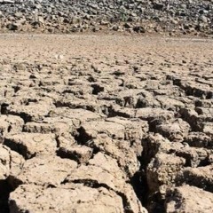 Gobierno federal sin recursos para enfrentar la sequía.