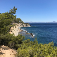 20 - Garrigue