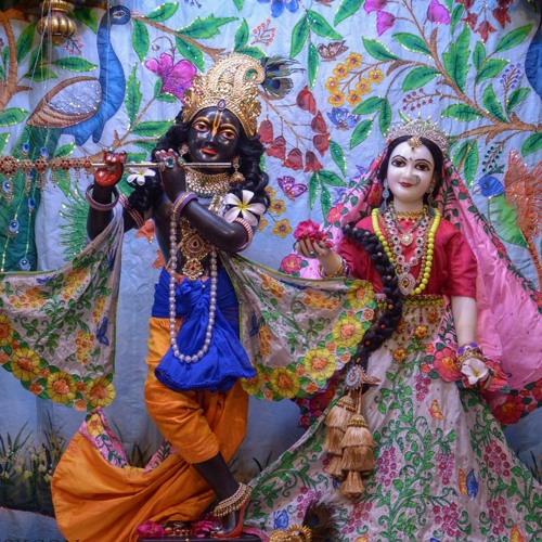 Yogindra & Kirtan Premi 11.8.18 NS Jam Session