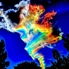 Different Butterflies with Lovely Anita Words