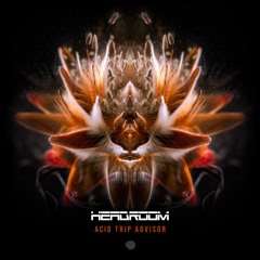 Headroom (SA) - Drop Kicks (Original mix)