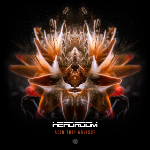 Headroom (SA) - 16Bit Masterchef (Original mix)