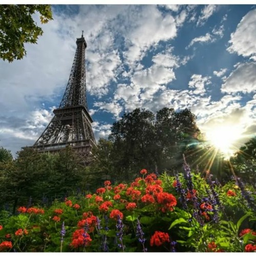 Amazonas background full 💋FREE DOWNLOAD💋