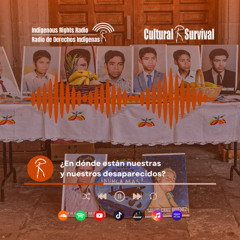 ¿En dónde están nuestras y nuestros desaparecidos?
