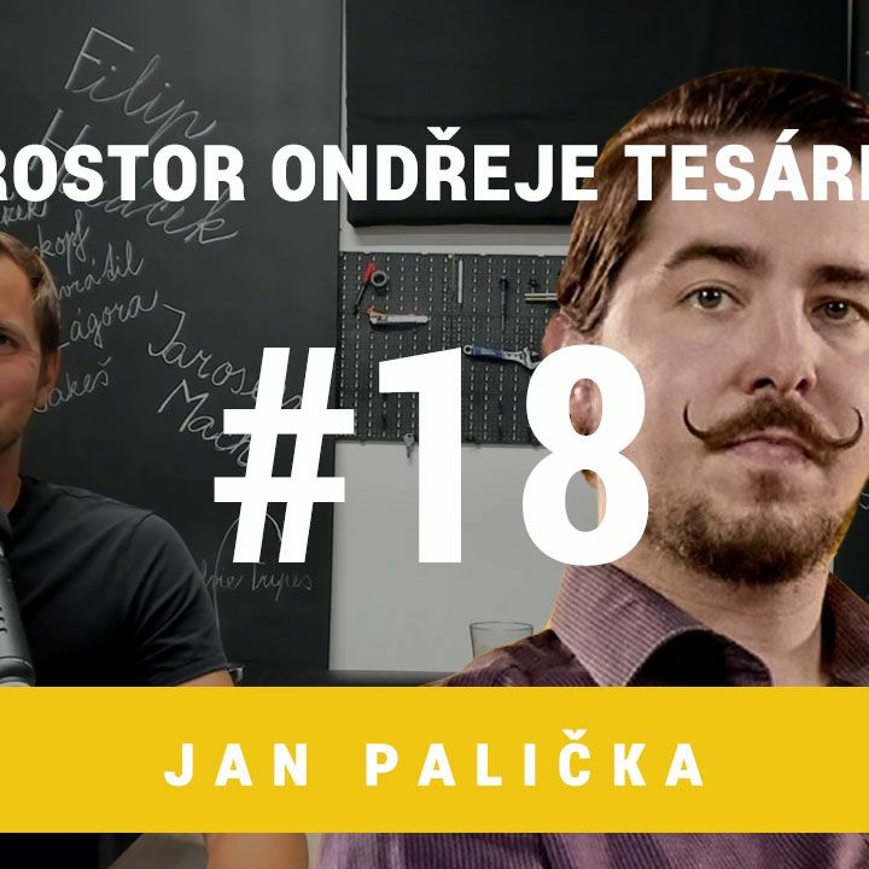 Prostor Ondřeje Tesárka #18 - Jan Palička