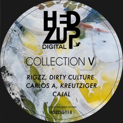 Rigzz - Let Me Driv