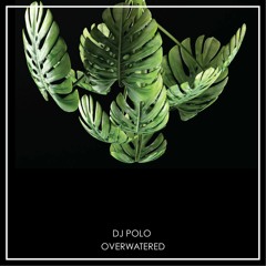 DJ Polo - Overwatered