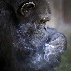 Buyin & Biddin Prod me