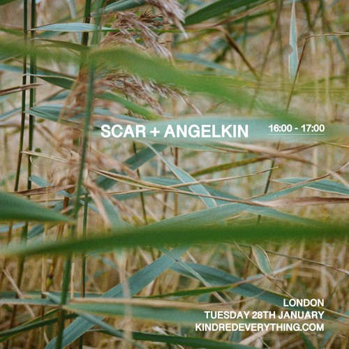 ANGELKIN + SCAR 28.1.25
