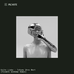 Kalte Liebe - Träume Ohne Wert (PICANTE SCHRANZ REMIX)
