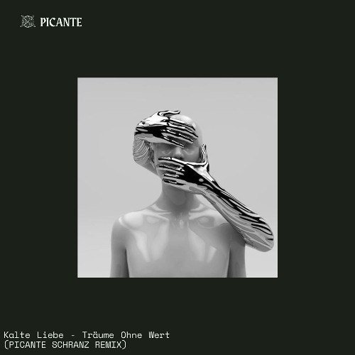 Kalte Liebe - Träume Ohne Wert (PICANTE SCHRANZ REMIX)