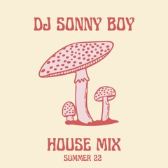 House Mix (summer22) Dj Sonny Boy