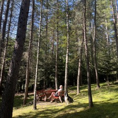 Paluch - Szczęście (Voodoo Blend)