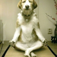 peace2me