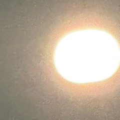 Splice 2025 in B minor