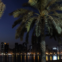 🌷‎⁨عبدالمجيد عبدالله - الوصوف المستحيلة ⁩