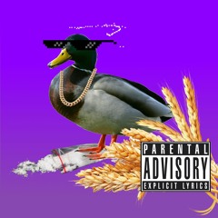 ENTE MIT GETREIDE (prod. Rubbin Beatz)