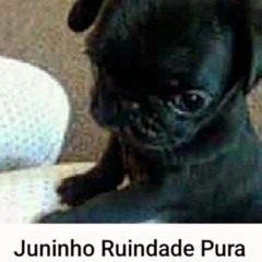 Tech House Chinelada