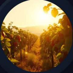 Abide in the vine - Contemporary Christian