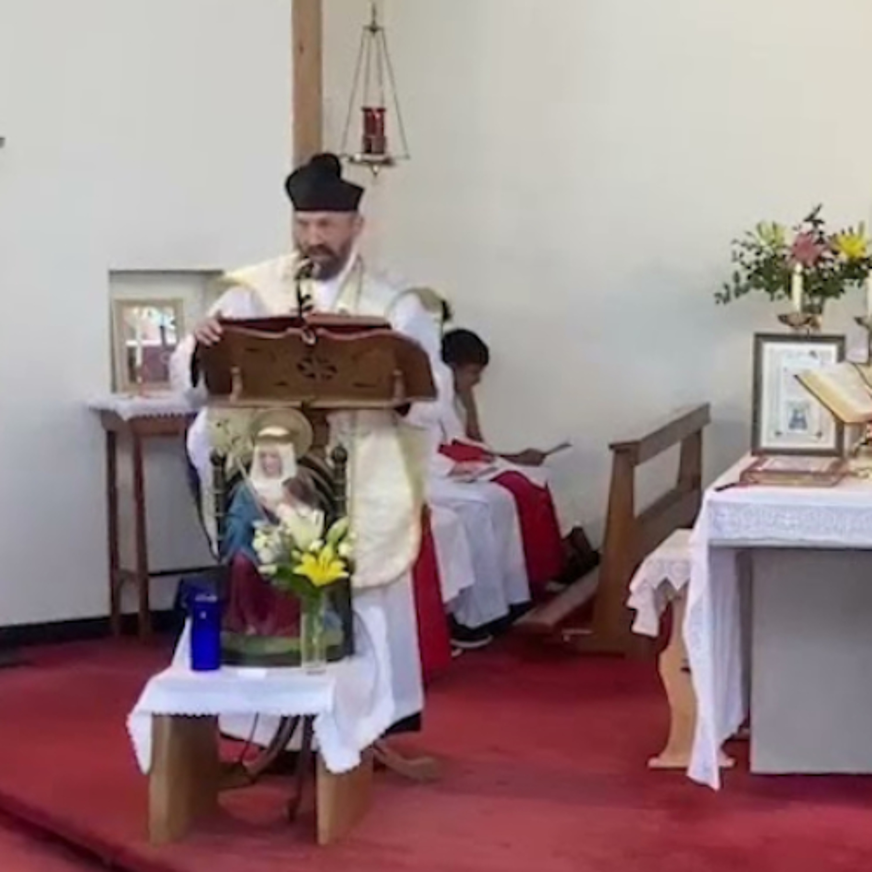 Homily 15 June 2025
