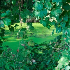 SoundCloud Followers - 23/11/2020