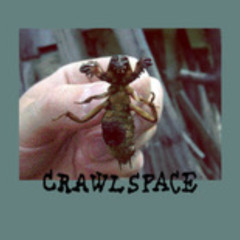 Live at Crawl Space