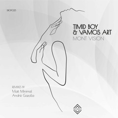 PREMIERE: Vamos Art - Vision (Andre Gazolla Remix) [Jaw Dropping Records]