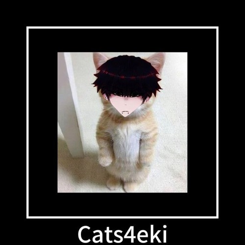 Cats4eki 🤗