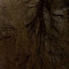 Tranzendenz emotiotanatos~ momento mori