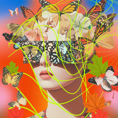 MUSICA SELECTA (SET EXCLUSIVO)