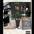 Artwork for Tiny Yungsc