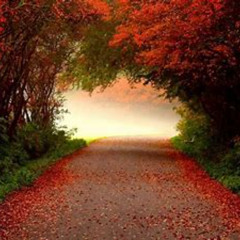 The Path