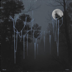 Night Drizzle