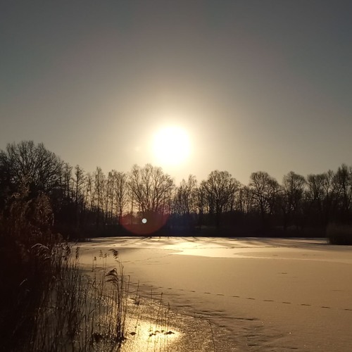 Ying & Yang (Ambient Mix)