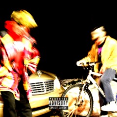 WILDFLOWER | Mt. Airy Hooligans (prod. whoistyler)