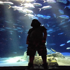 XIKANI - In Bloom (Prod By Nico Kaplan)