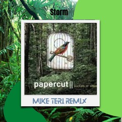 Papercut - Storm (Mike Teri Remix)