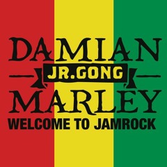 Damian Marley - Welcome To Jamrock (DnB Remix)