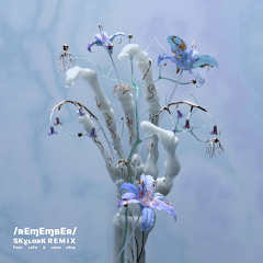 Remembr  (Skylark Remix)
