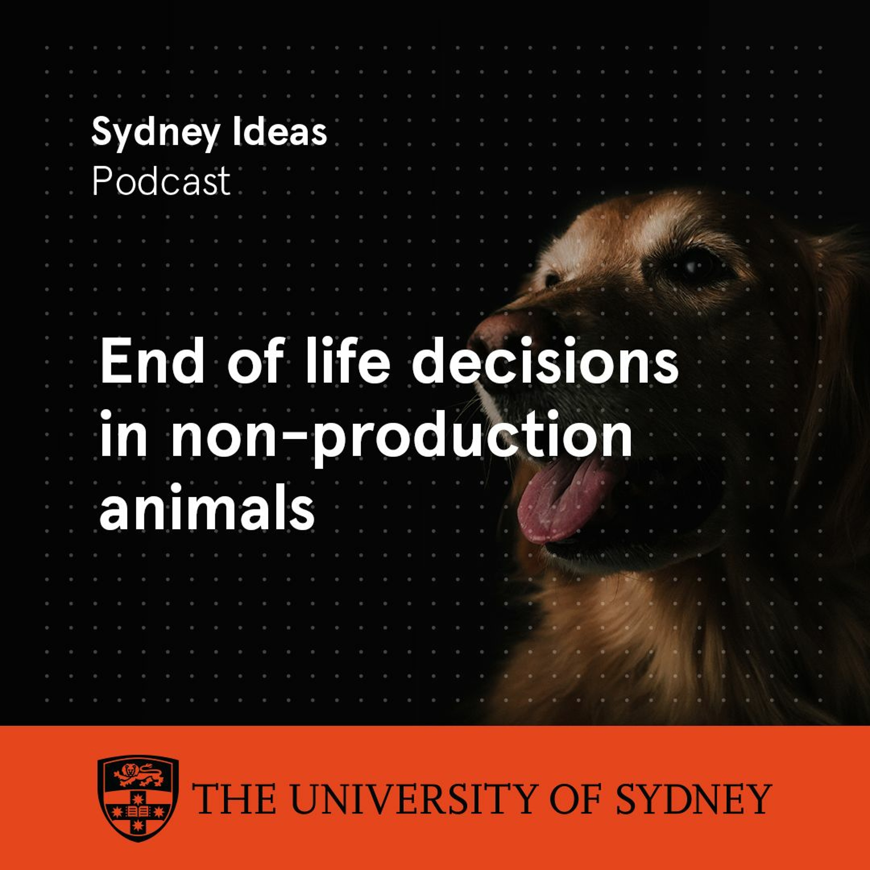 cover of episode End-of-life decisions in non-production animals (27 August 2020)