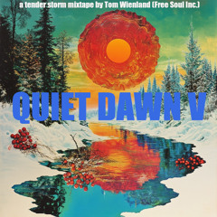 QUIET DAWN V a tender storm mixtape by Tom Wienland (Free Soul Inc)
