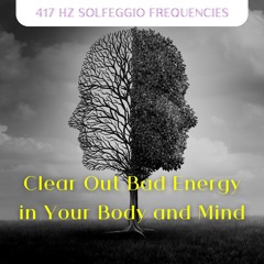 417 Hz Music for Spa Breaks