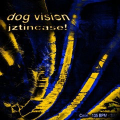 dog vision