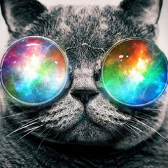 Techno - Funky Fresh