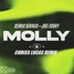 CEDRIC GERVAIS x JOEL CORRY - MOLLY ( CHRISS LUCAS REMIX )