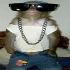 ai mds speed up(rodie)