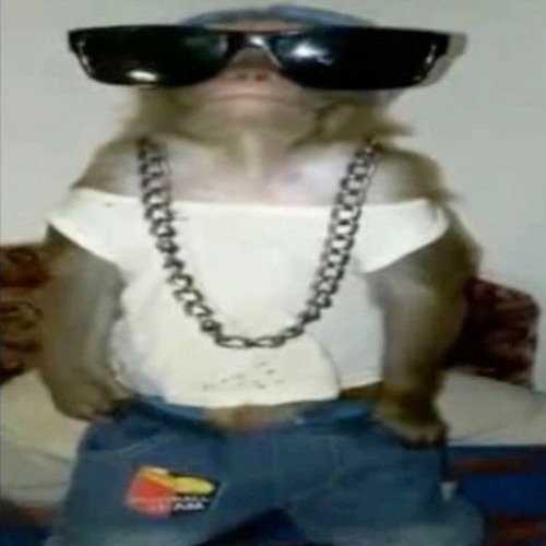 ai mds speed up(rodie)