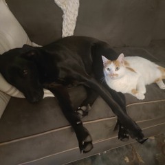 You dont wanna know (demo)