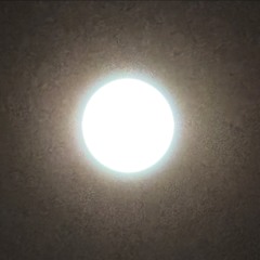 final christmas memories